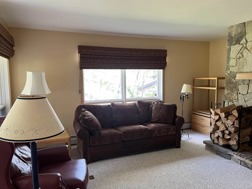 12 Trailside Village Way Dover VT 05356