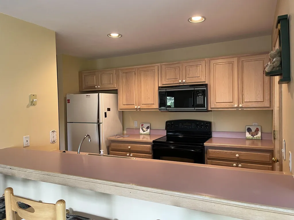 12 Trailside Village Way Dover VT 05356