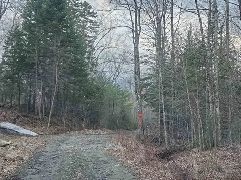 0 Tug Mountain Road Orange NH 03741