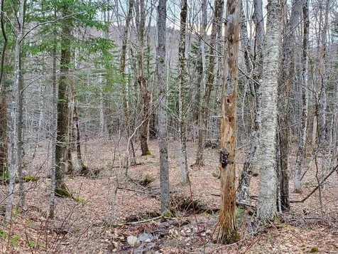 0 Tug Mountain Road Orange NH 03741