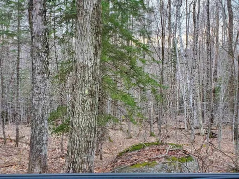 0 Tug Mountain Road Orange NH 03741