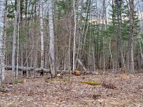 0 Tug Mountain Road Orange NH 03741