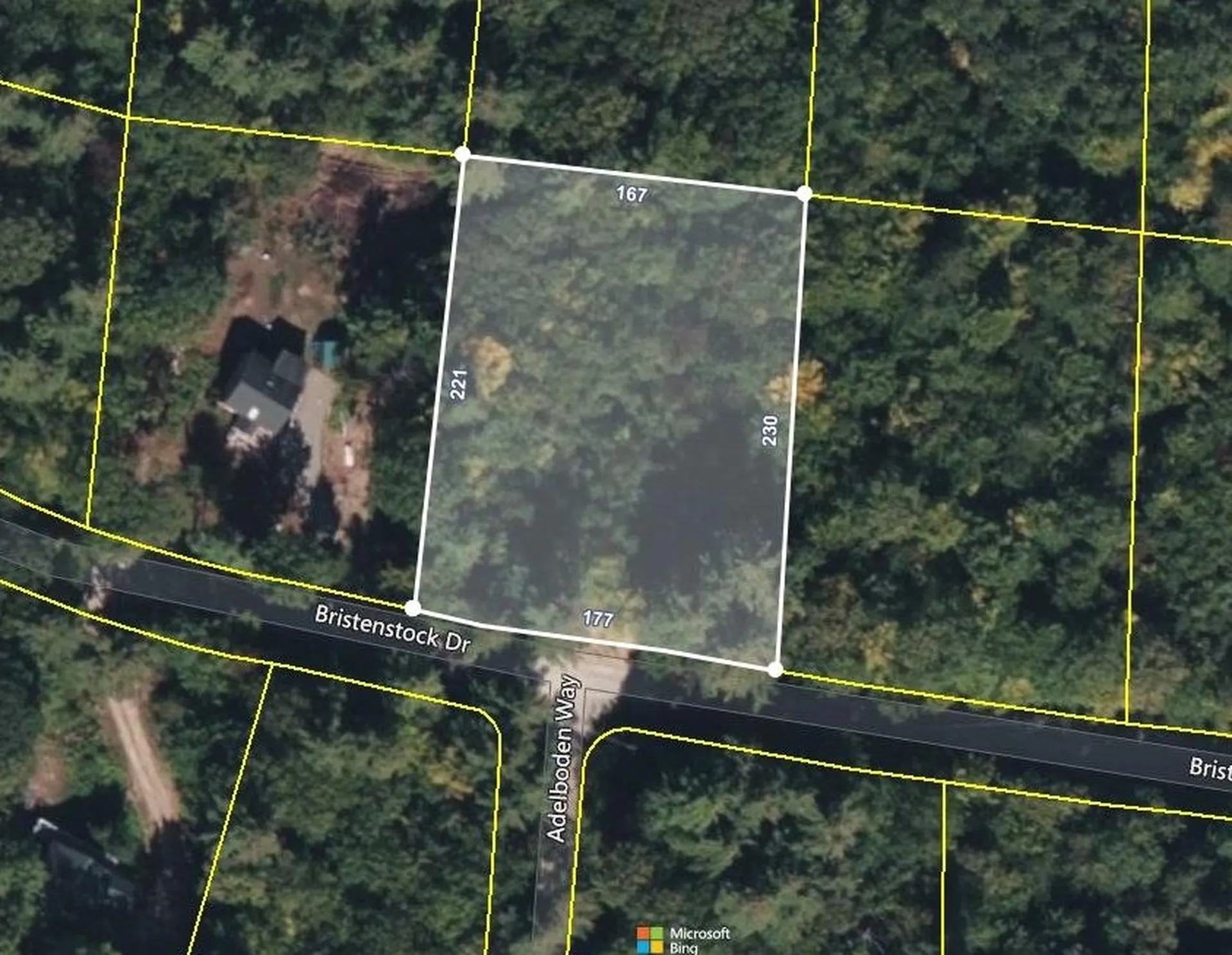14 Bristenstock Drive Madison NH 03849