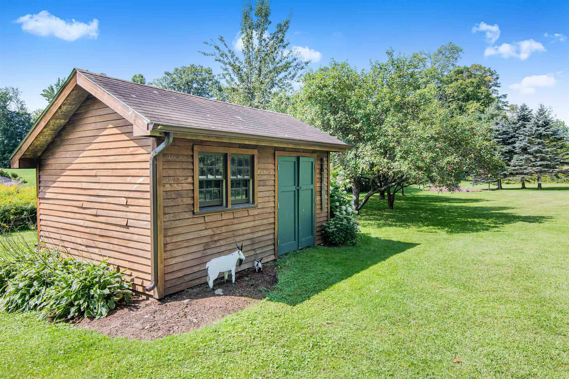 13 Meadow Drive Jericho VT 05465