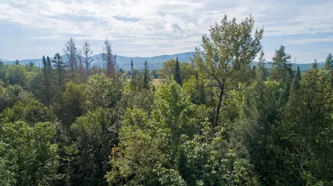 Off Route 2 Lunenburg VT 05906
