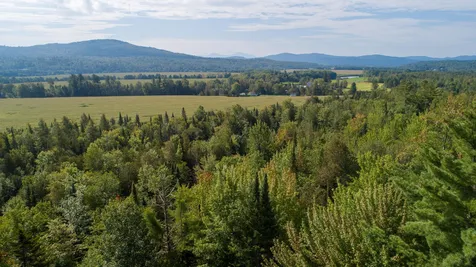 Off Route 2 Lunenburg VT 05906