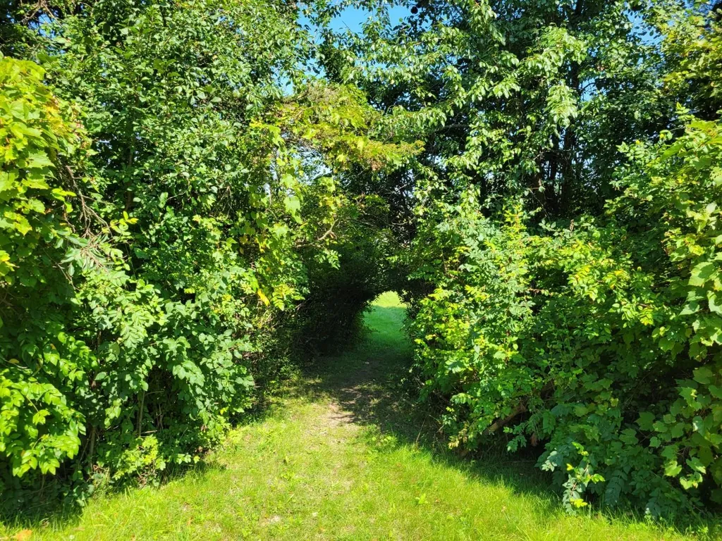 2984 Mount Philo Road Charlotte VT 05445