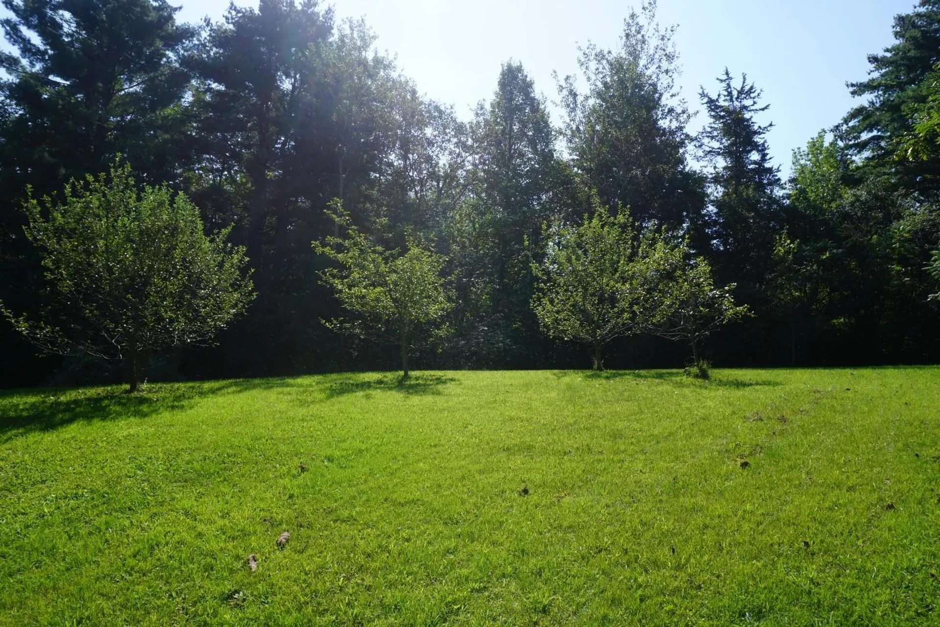 2984 Mount Philo Road Charlotte VT 05445