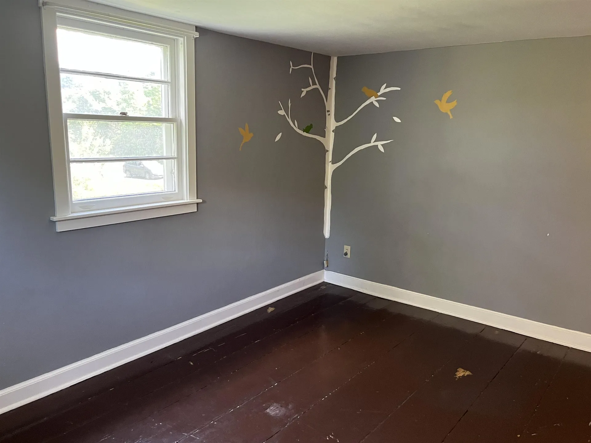 6646 Main Street Waitsfield VT 05673