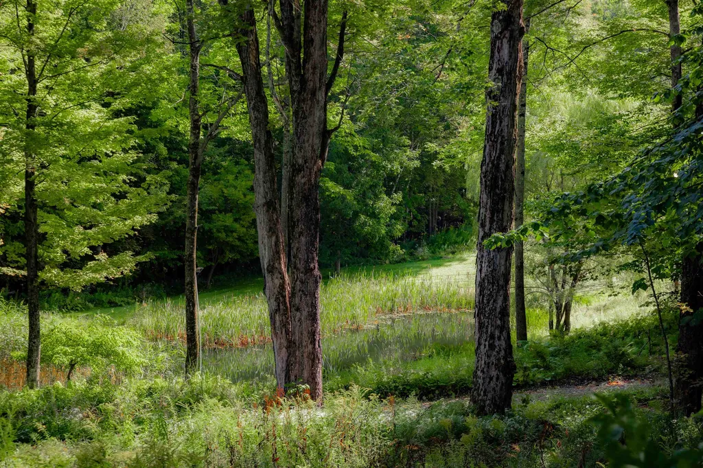 679 Old County Lane Richmond VT 05477