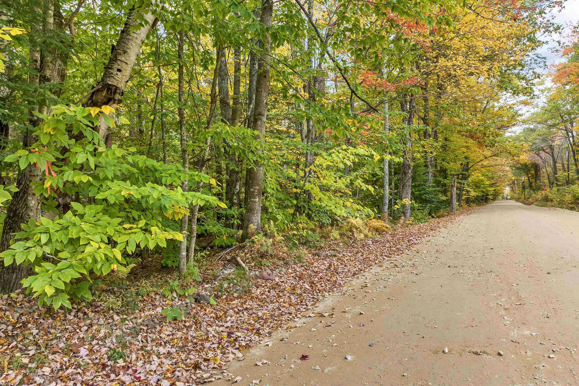 Lower Beech Hill Road Campton NH 03223