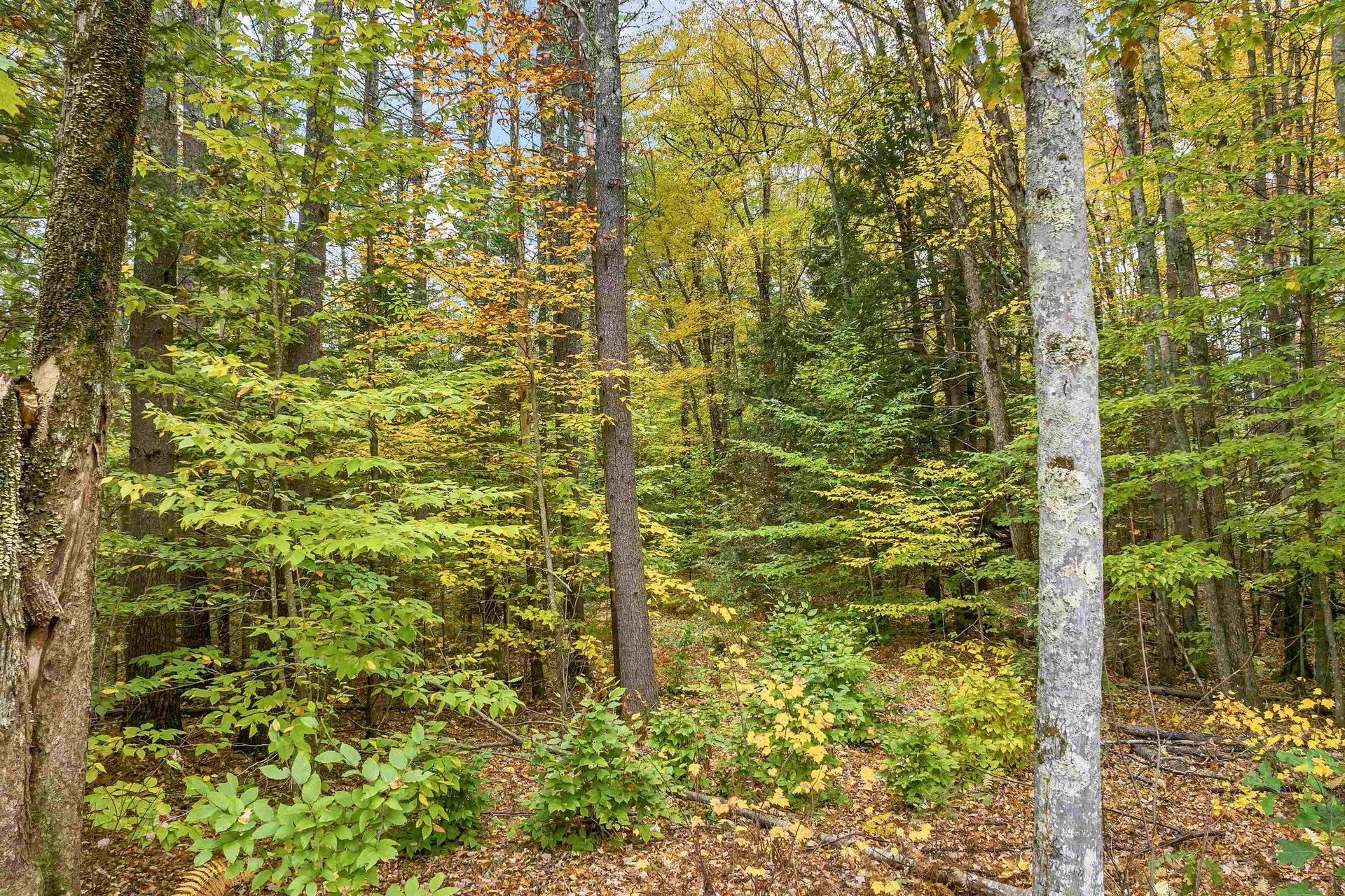 Lower Beech Hill Road Campton NH 03223