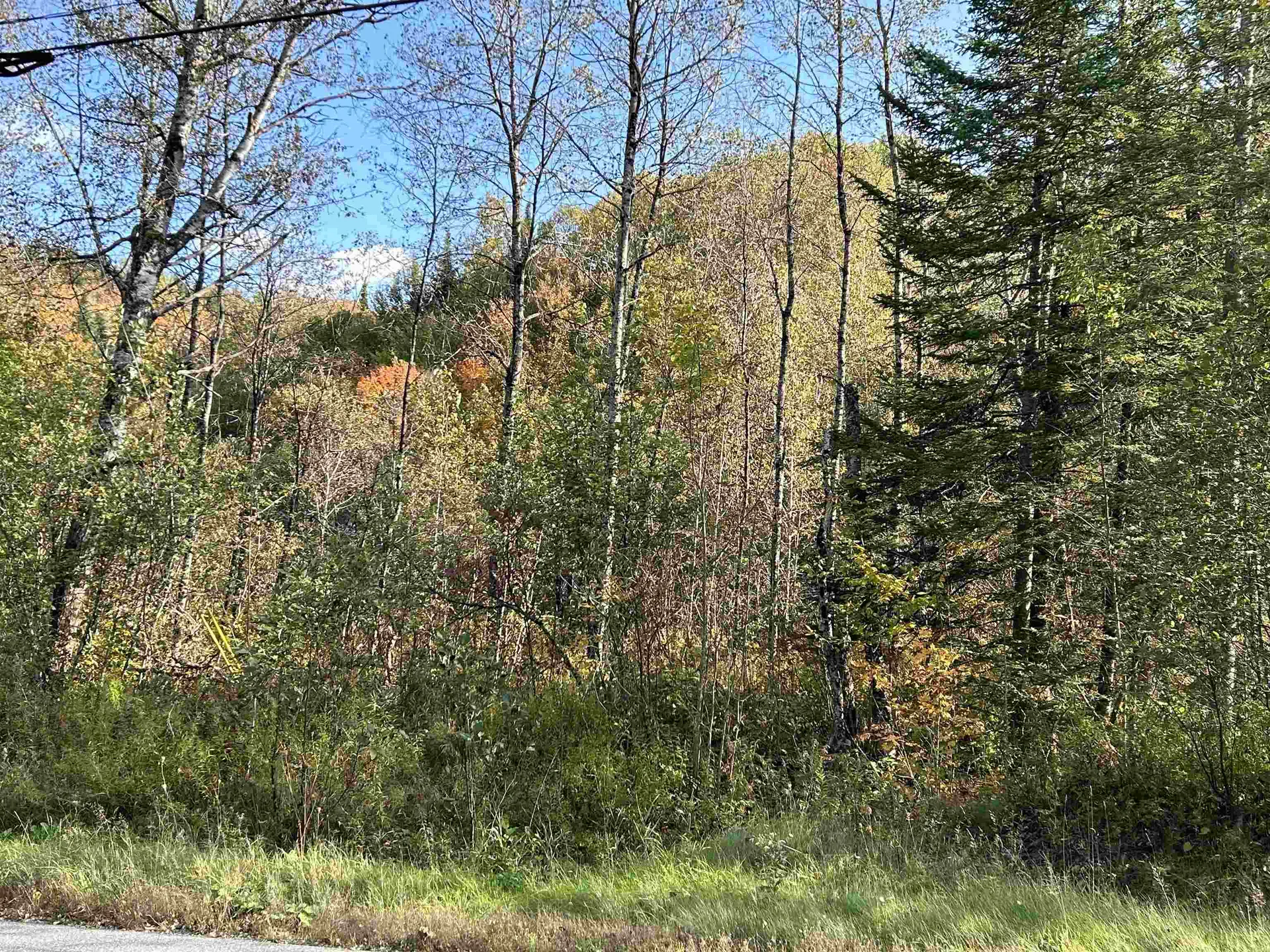 3000 Chelsea Road Corinth VT 05039