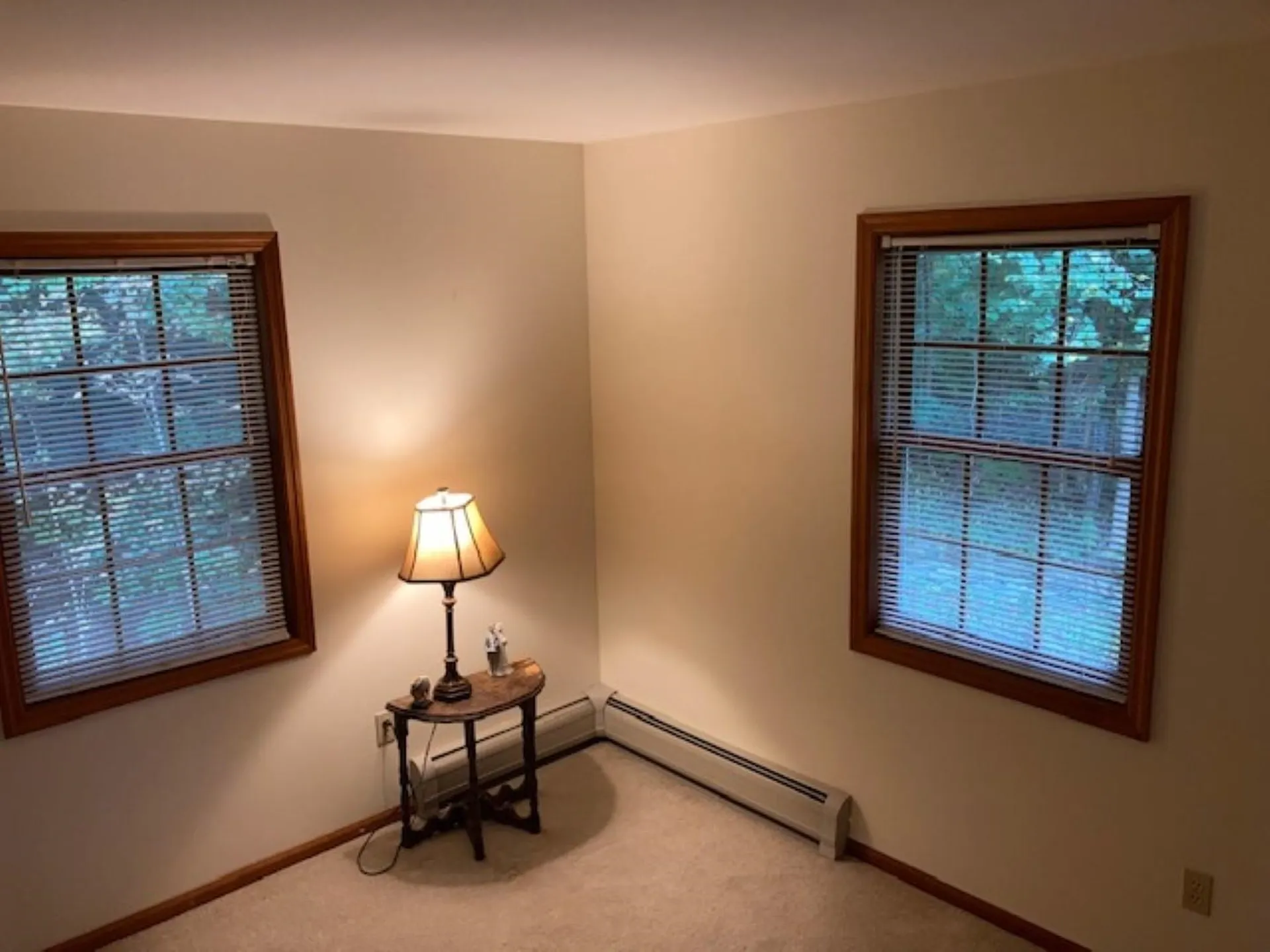 7 Lindenwood Drive Jericho VT 05465