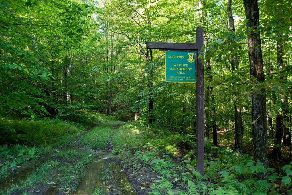 119 Upper Barnett Hill Road Middlesex VT 05602