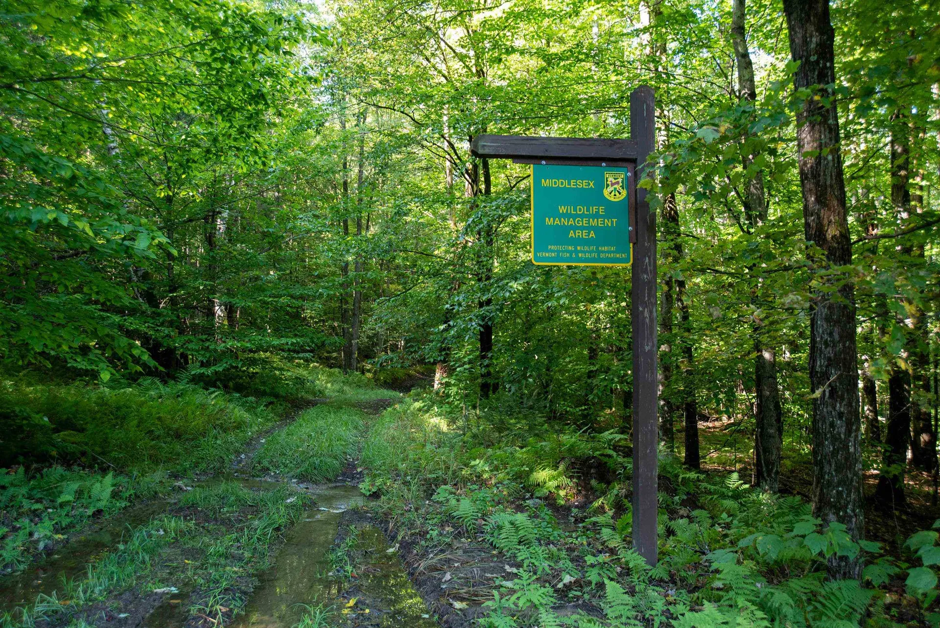 119 Upper Barnett Hill Road Middlesex VT 05602