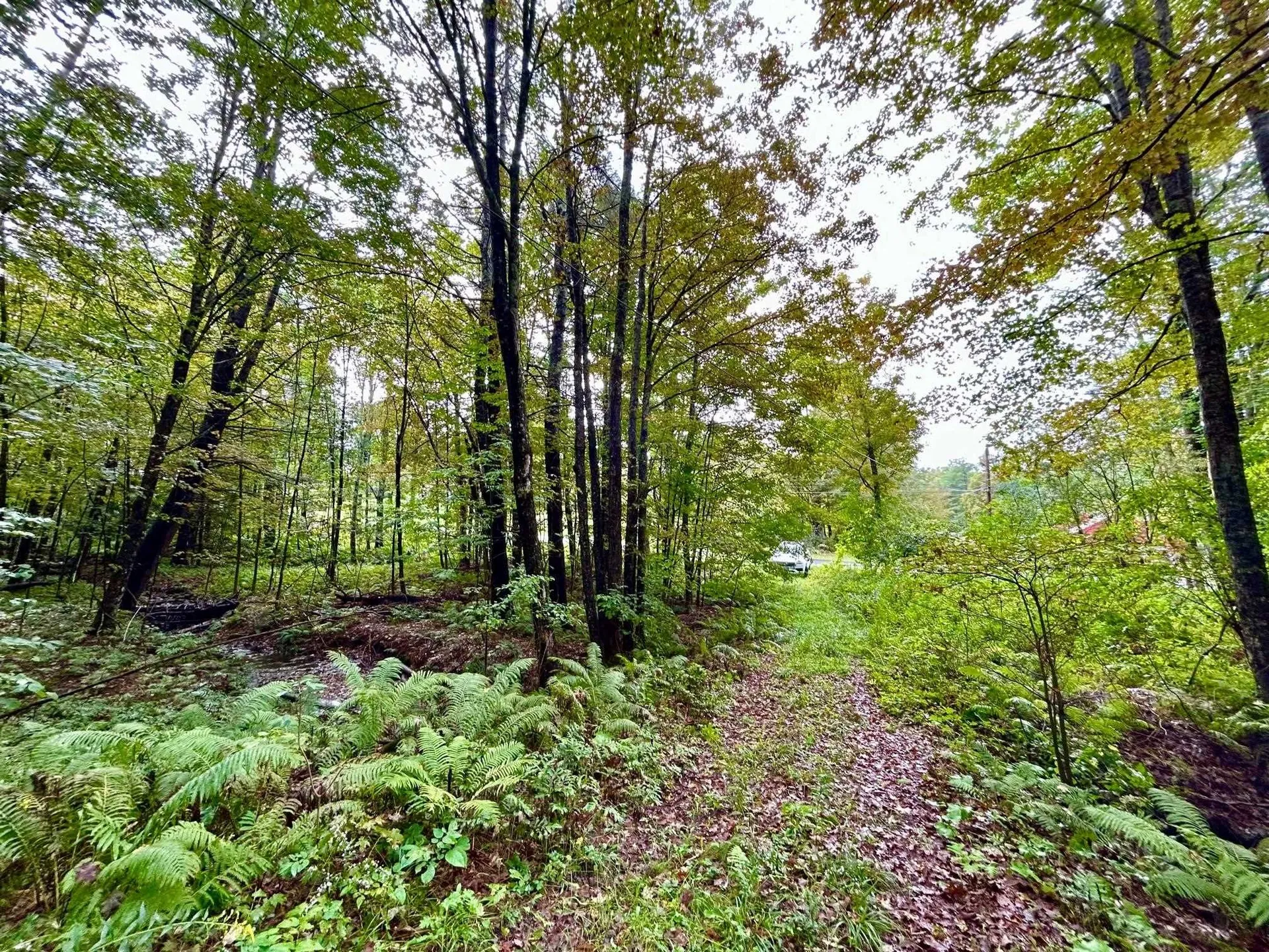 81 Bean Road Plainfield NH 03781