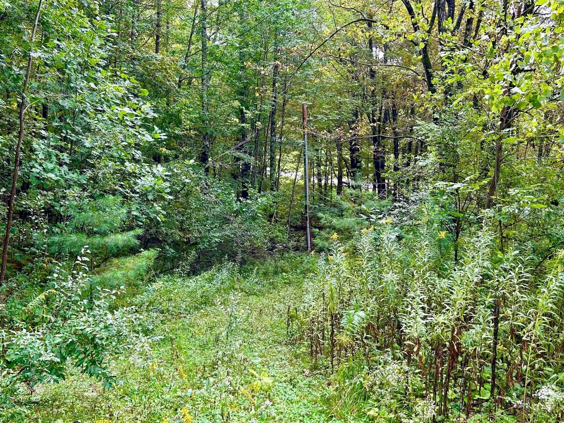 81 Bean Road Plainfield NH 03781