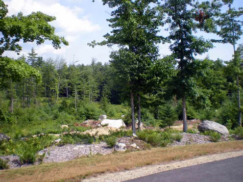 18 Deer Path Lane Tuftonboro NH 03816