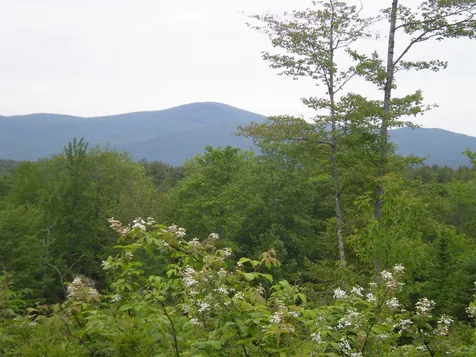 18 Deer Path Lane Tuftonboro NH 03816