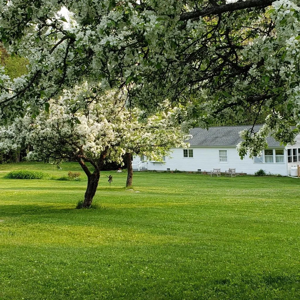 386 Haines Hill Road Wolfeboro NH 03894