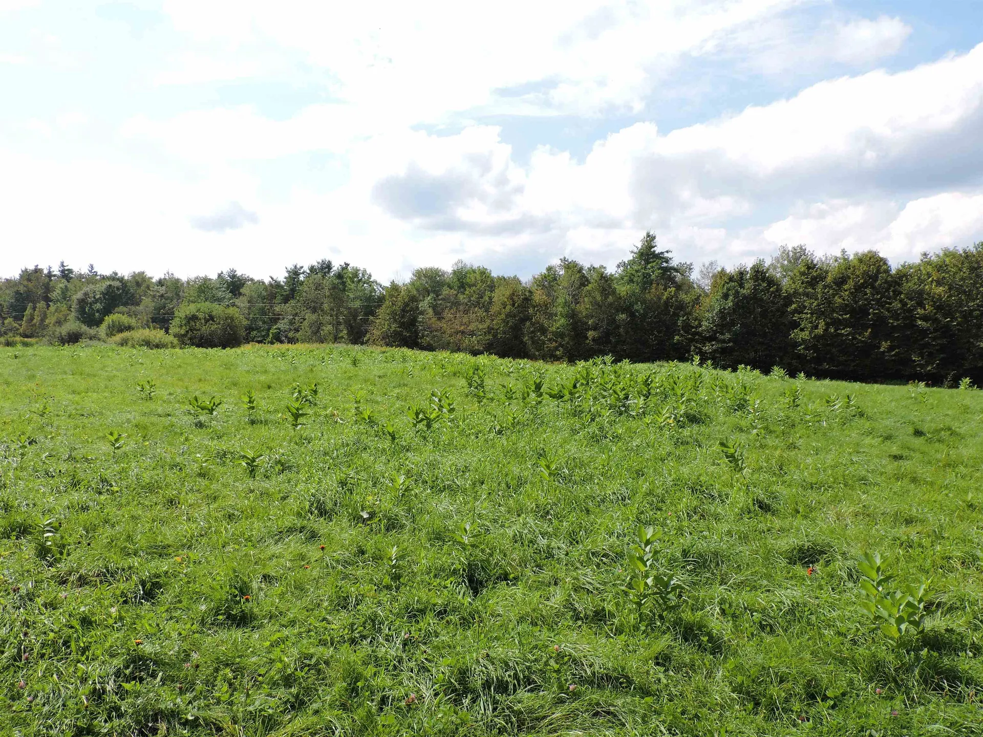 3 Birch Lane Enfield NH 03748