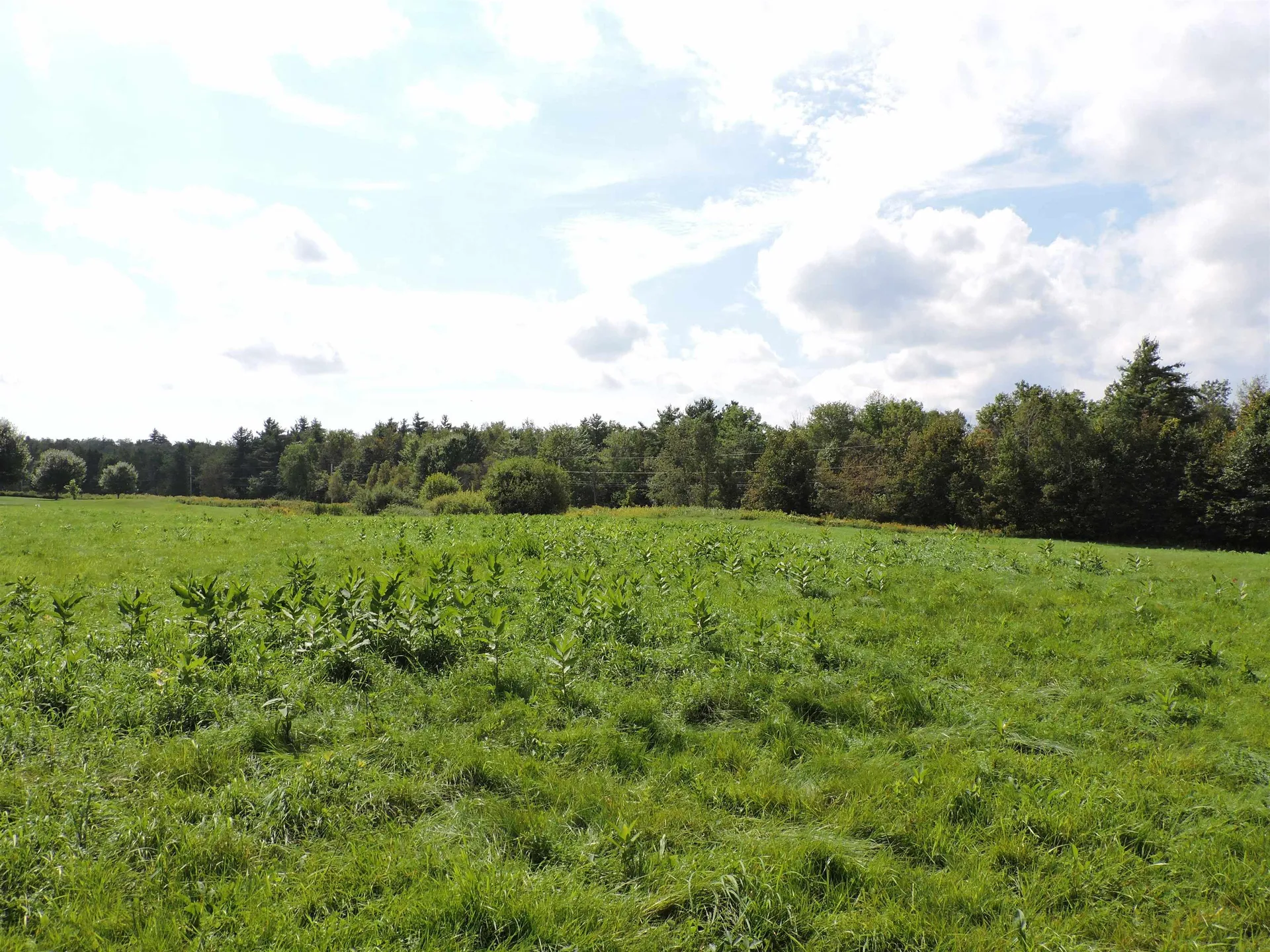 3 Birch Lane Enfield NH 03748