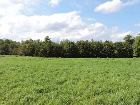 3 Birch Lane Enfield NH 03748