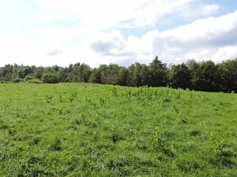 3 Birch Lane Enfield NH 03748