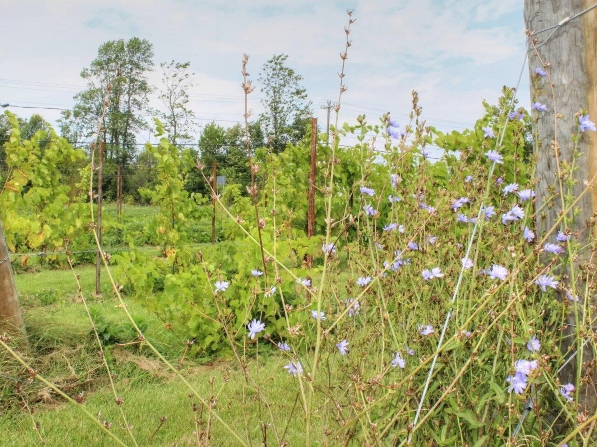 136 Us Route 2 Grand Isle VT 05458