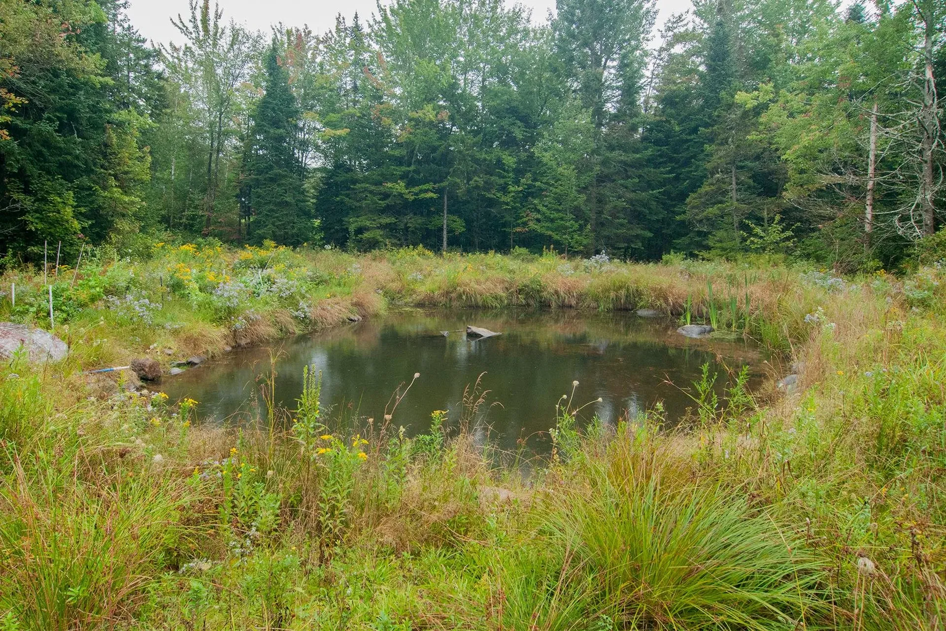 2845 Irish Hill Road Lowell VT 05827