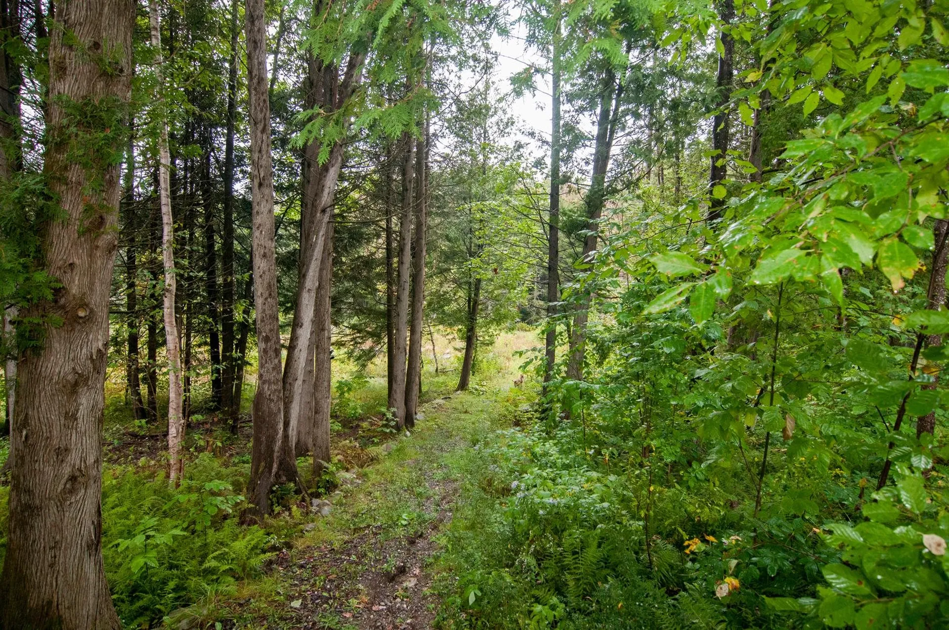 2845 Irish Hill Road Lowell VT 05827