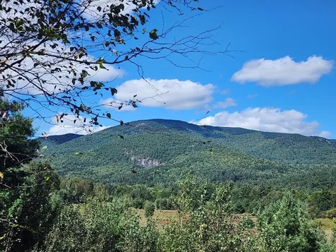 29 Village Road Shelburne NH 03581