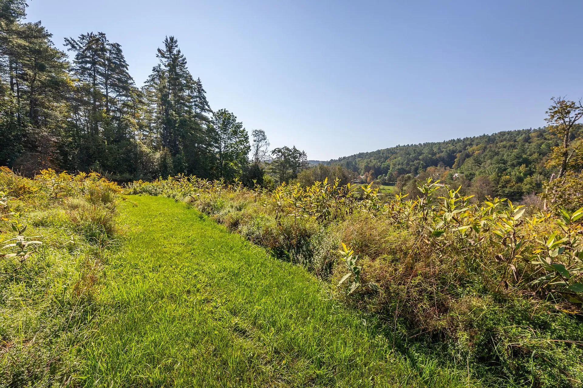 3452 Vt Route 100 Londonderry VT 05155