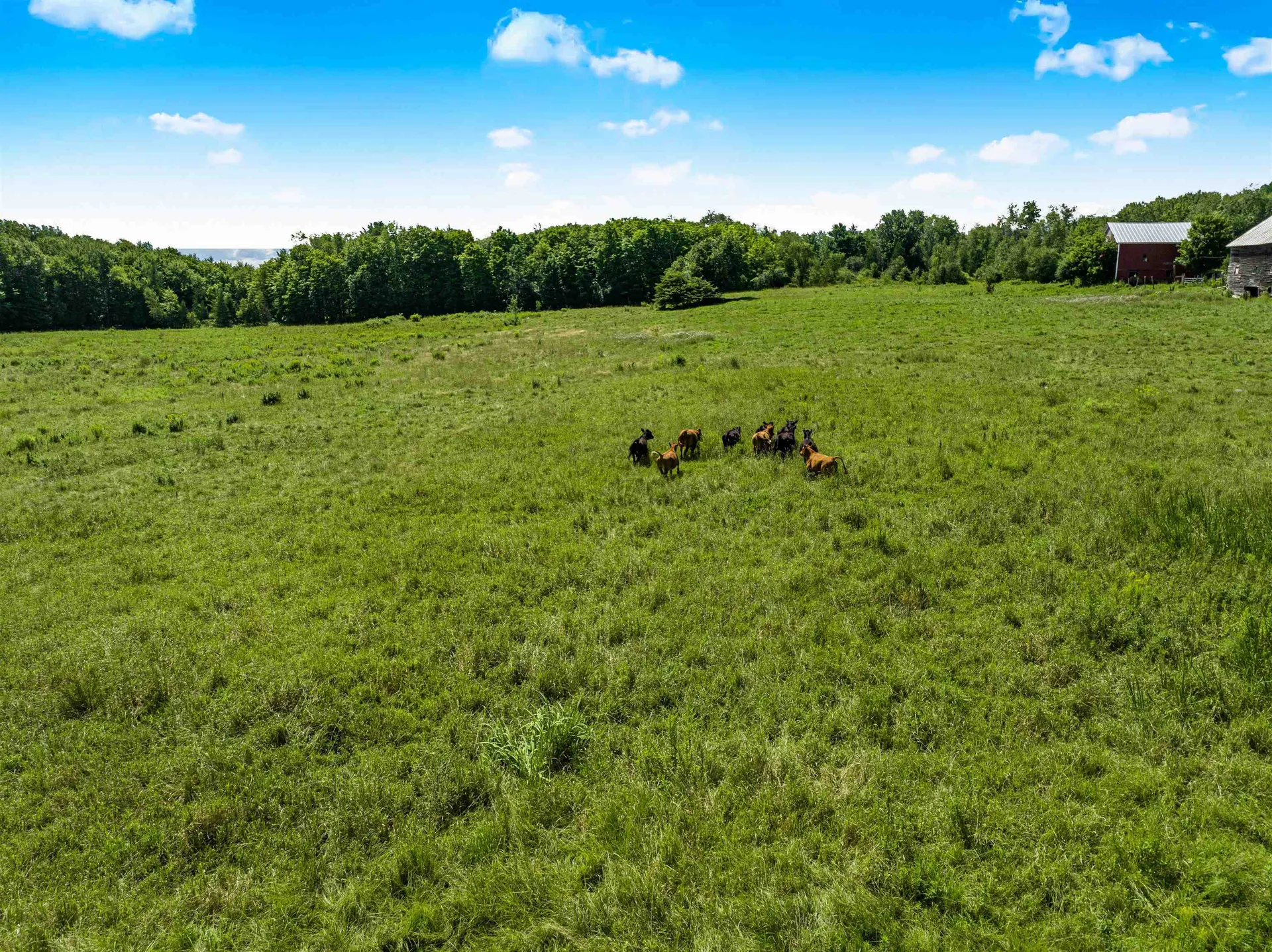 290 Swamp Road Fairfield VT 05450