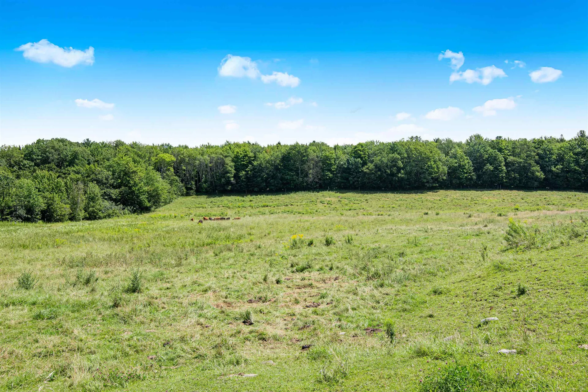 290 Swamp Road Fairfield VT 05450
