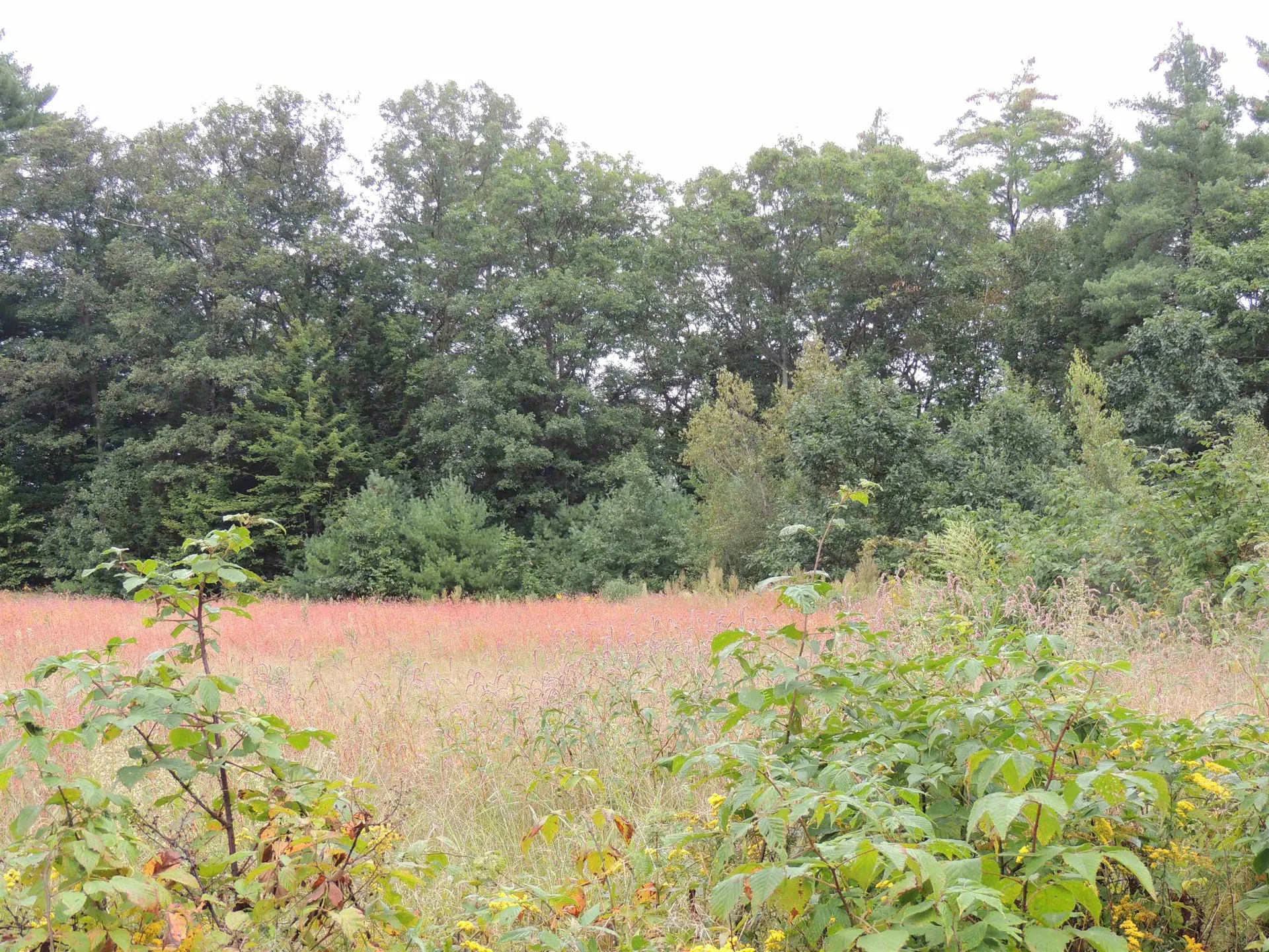 0 Riverside Business Park Northfield NH 03276