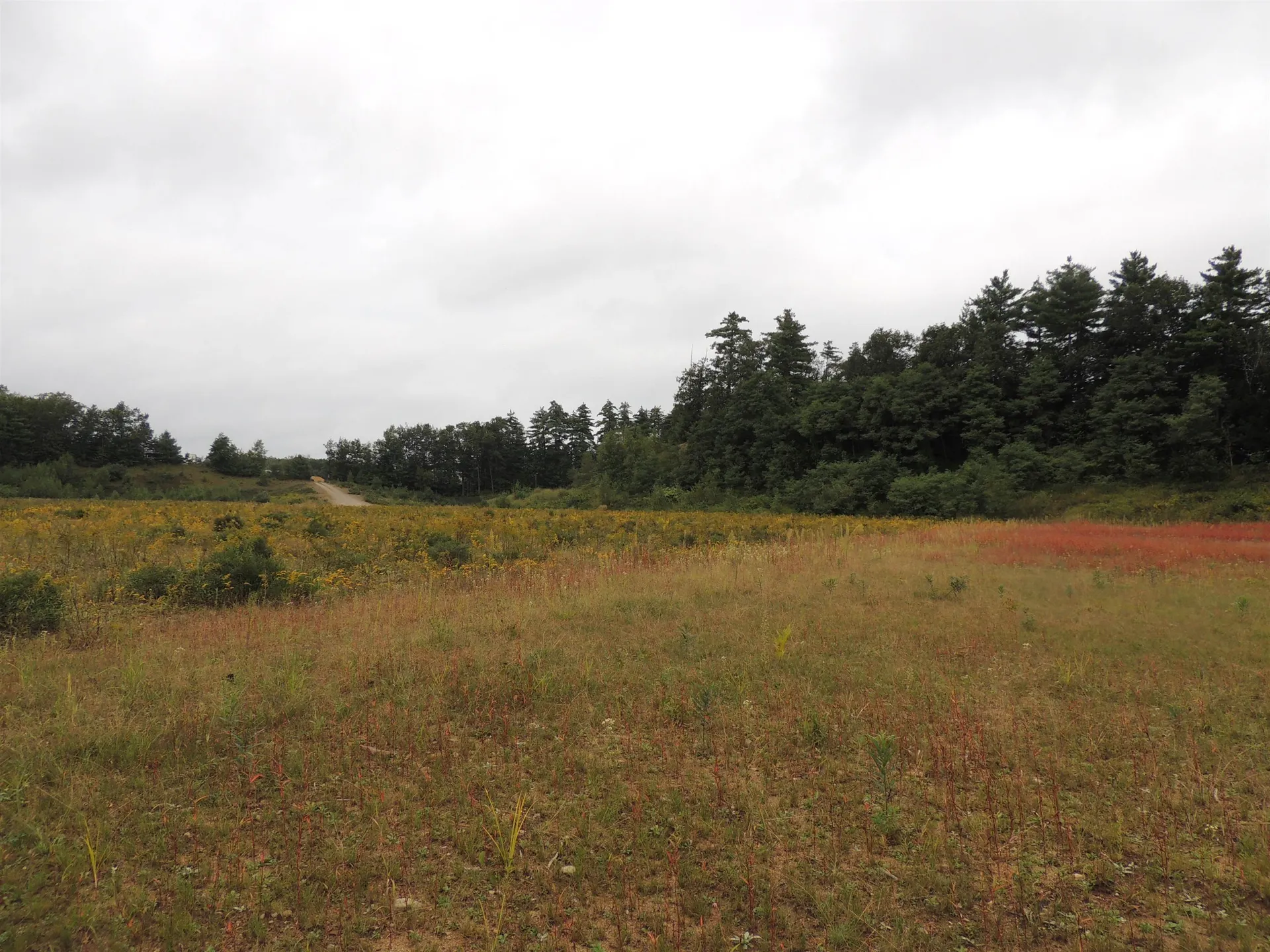 0 Riverside Business Park Northfield NH 03276