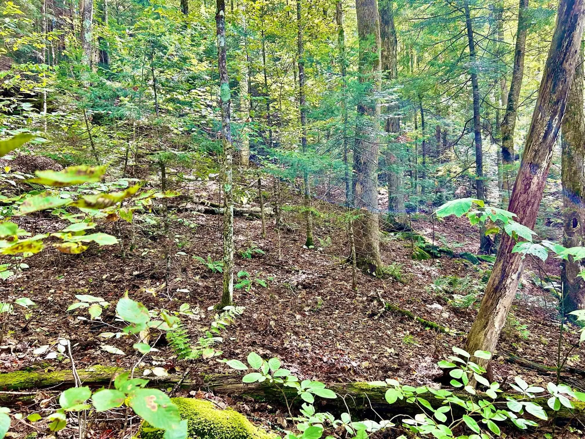 Carr Road Haverhill NH 03785