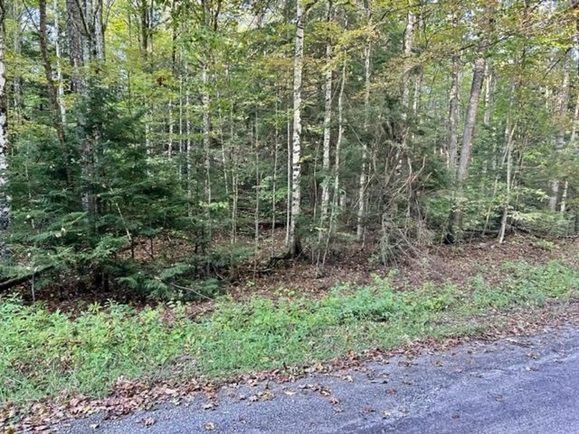 Haverhill Lane Haverhill NH 03785