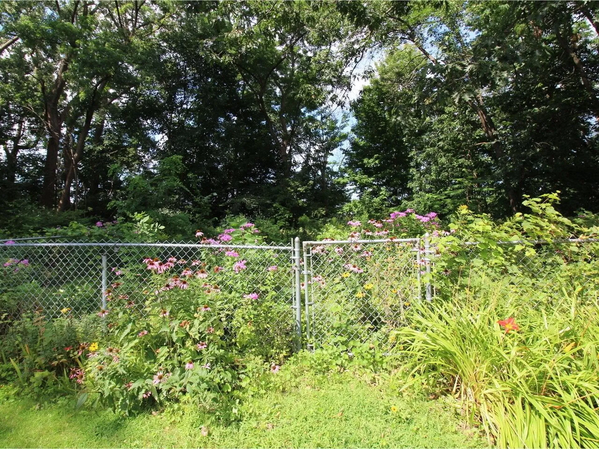 102 Cherry Lane Burlington VT 05401