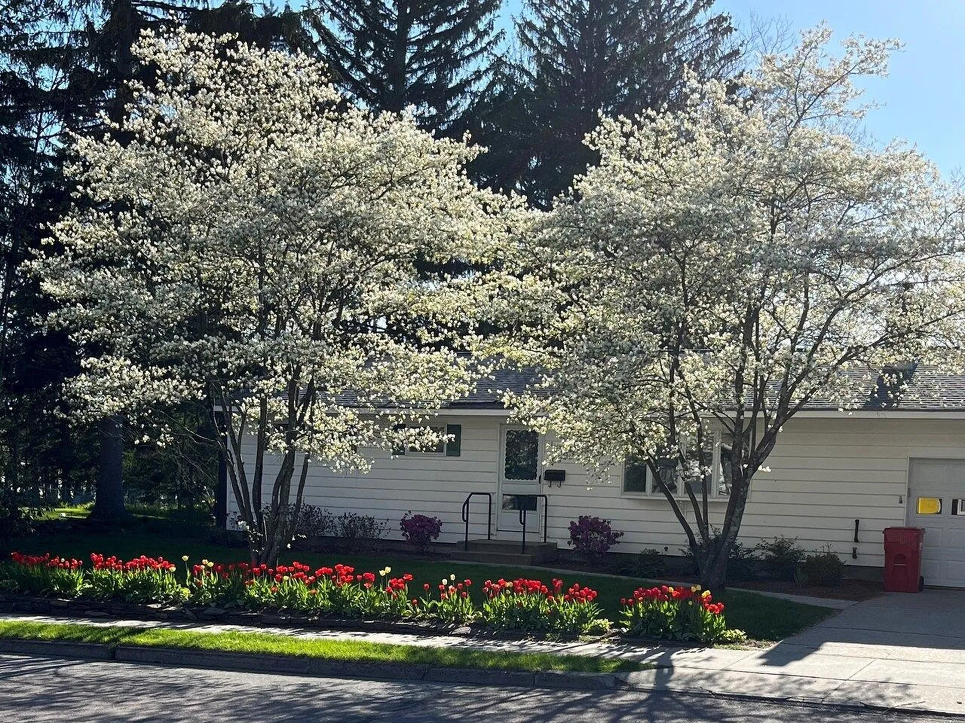 102 Cherry Lane Burlington VT 05401