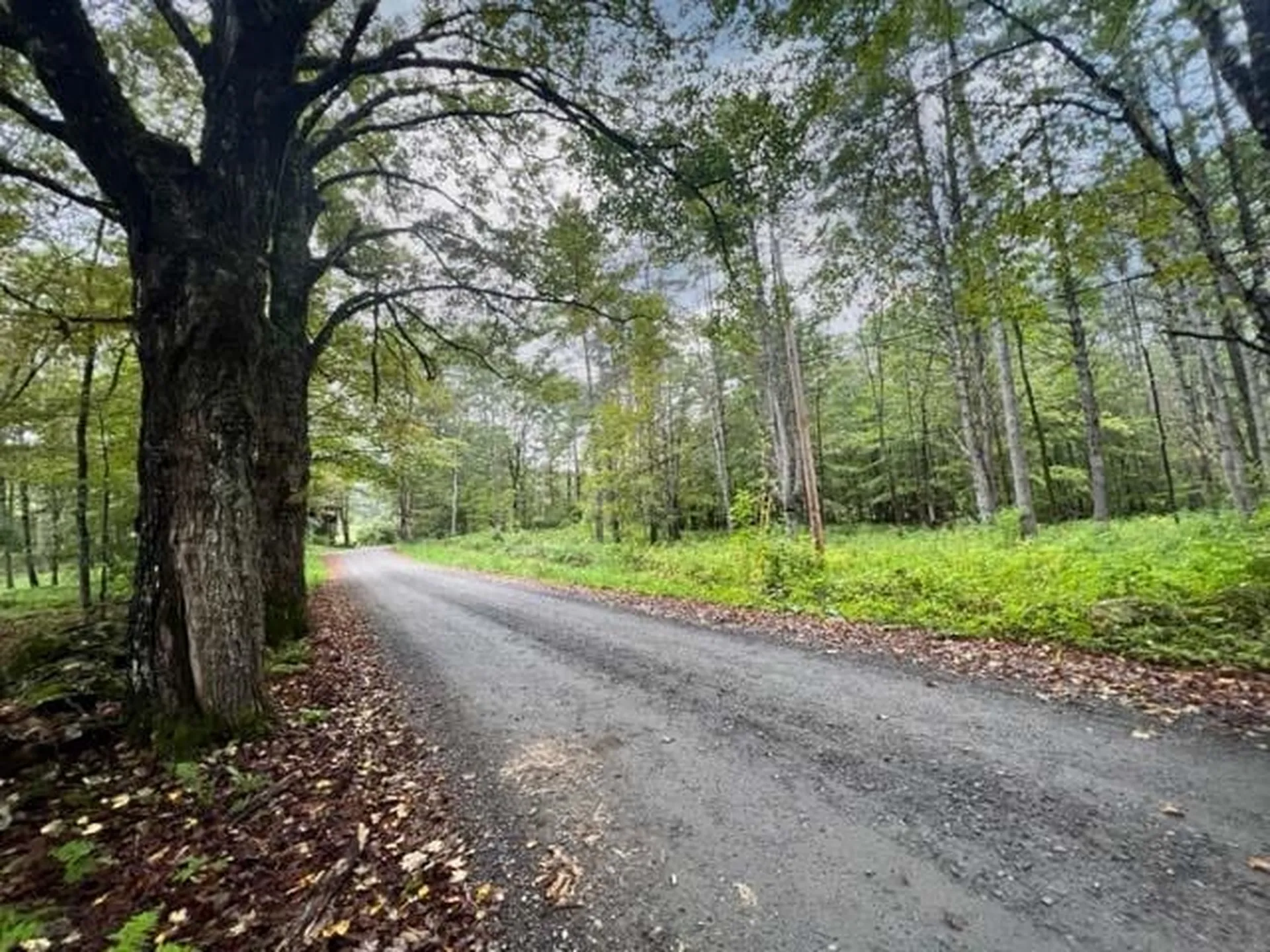 0 Burnham Road Thetford VT 05075