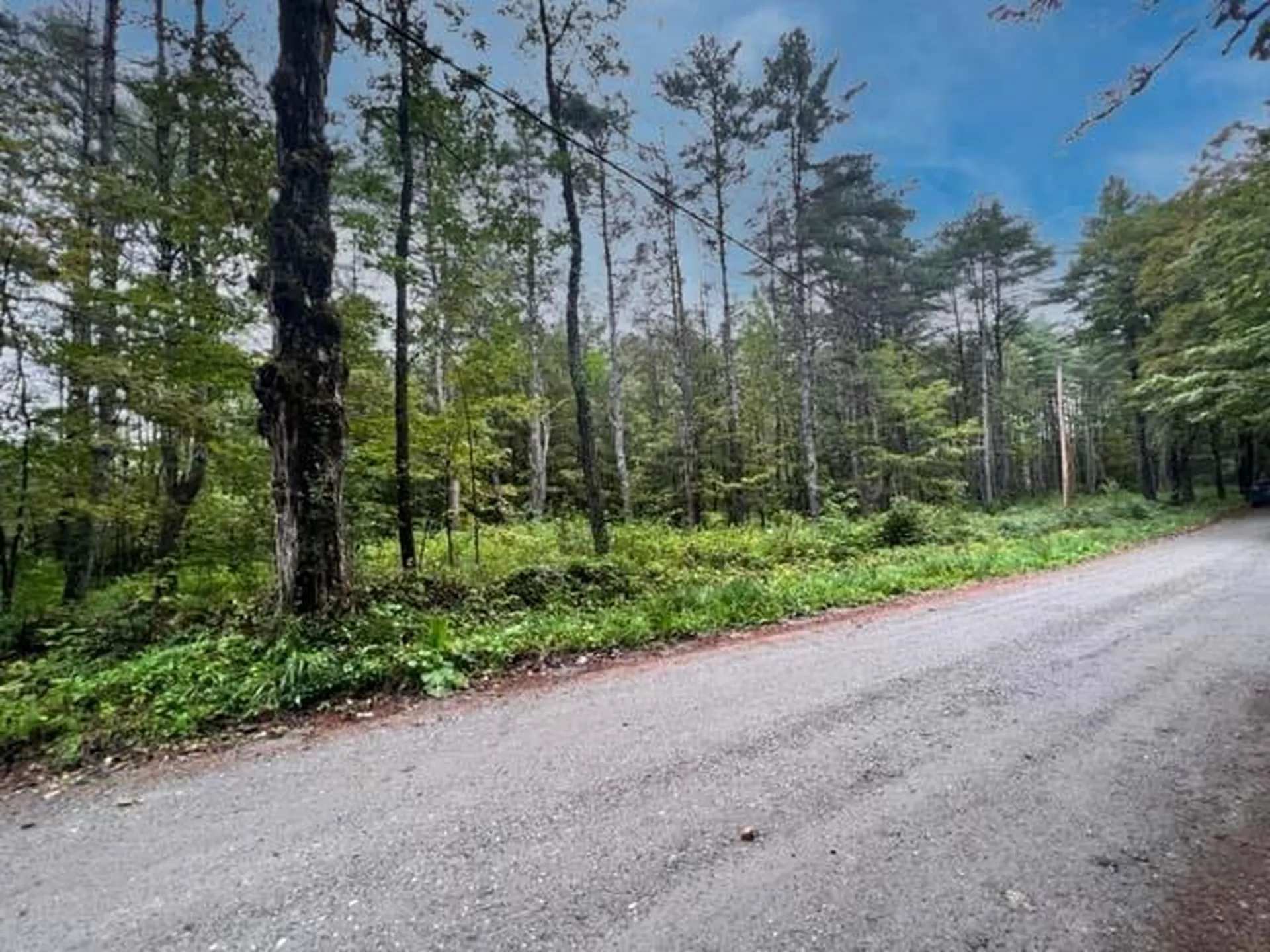 0 Burnham Road Thetford VT 05075
