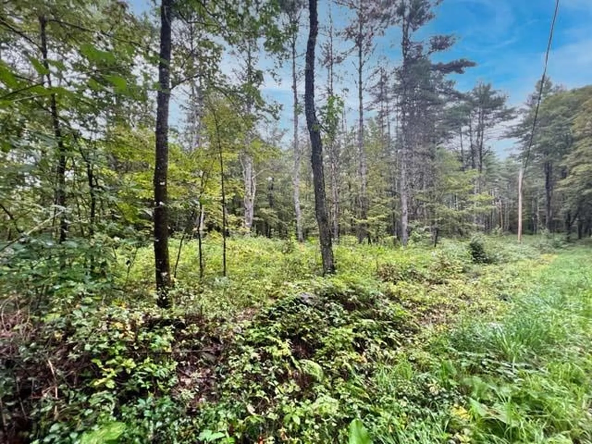 0 Burnham Road Thetford VT 05075