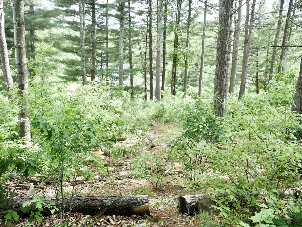 665 Knipes Drive Clarendon VT 05759