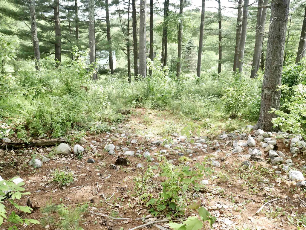 665 Knipes Drive Clarendon VT 05759