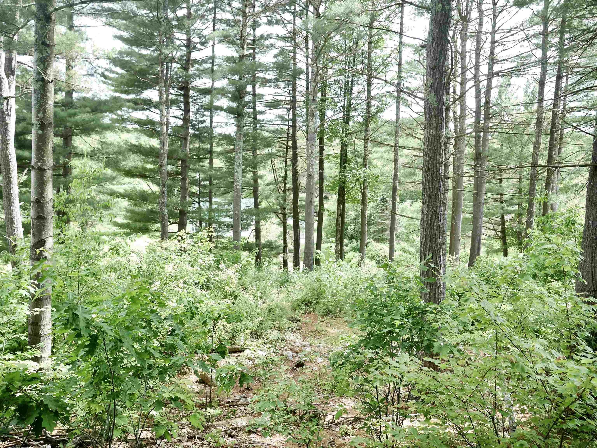 665 Knipes Drive Clarendon VT 05759