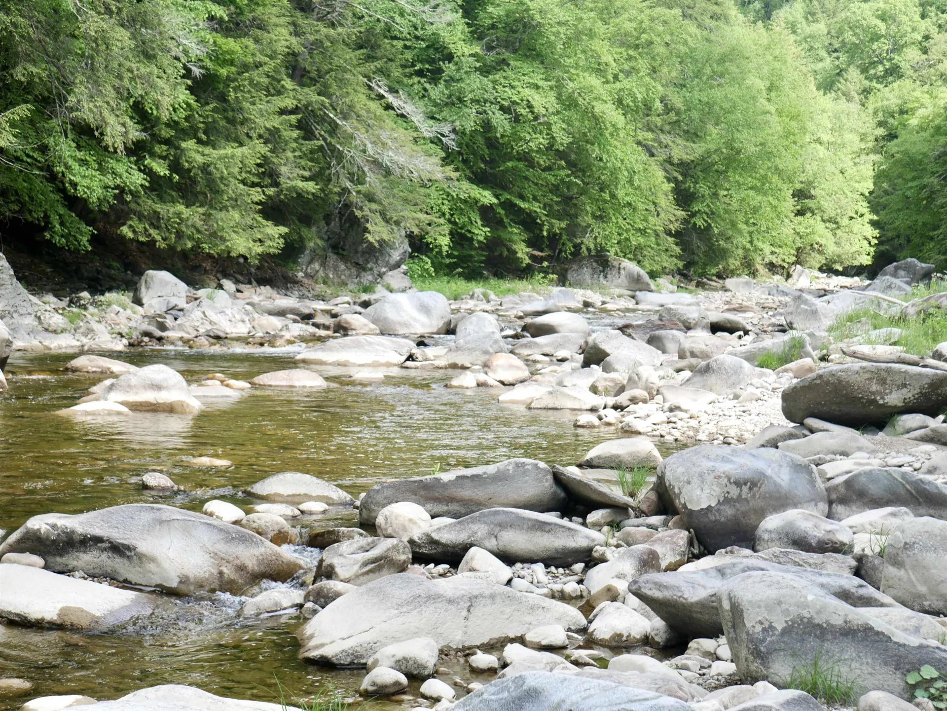 665 Knipes Drive Clarendon VT 05759