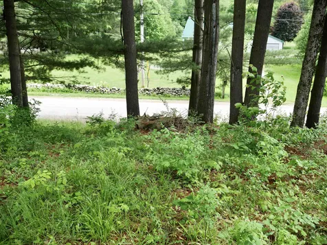 665 Knipes Drive Clarendon VT 05759